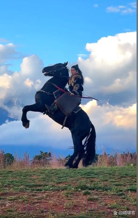 西維爾馴「馬」在即 西維爾馴「馬」在即