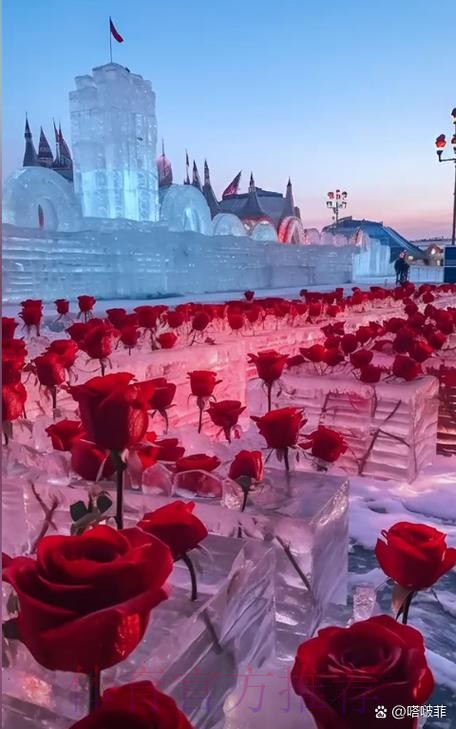 西維爾馴「馬」在即 西維爾馴「馬」在即